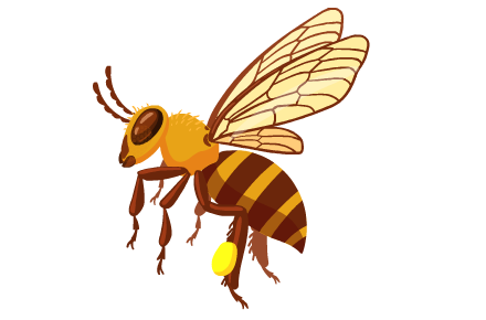 abeille