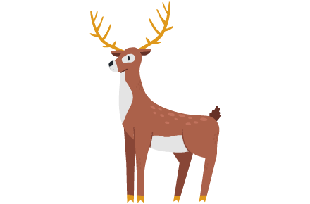 cerf