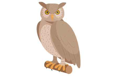 hibou