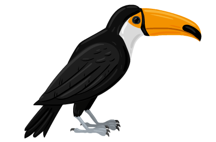 toucan