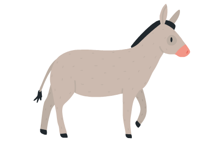 âne
